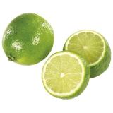 CITRON LIME KG