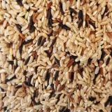 TRIO DE RIZ DE CAMARGUE