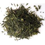 THE VERT SENCHA