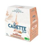 BIERE LA CADETTE AMBREE PACK*6