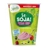SOJADE MYRTILLE CERISE SANS SUCRE