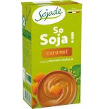 DESSERT SO SOJA CARAMEL 530G