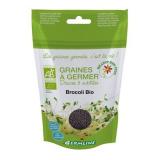 BROCOLI A GERMER