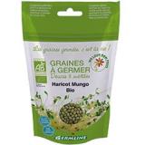 HARICOT MUNGO A GERMER