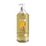 SHAMPOING USAGE FREQUENT 1L