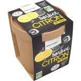 SORBET CITRON 500ML