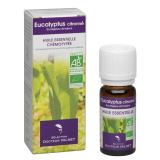 EUCALYPTUS CITRONNE