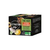 THE VERT CITRON GINGEMBRE