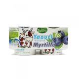 YAOURT MYRTILLE