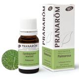 PALMAROSA BIO HE 10ML PRANAROM