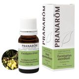 EUCALYPTUS MENTHOLE 10ML PRANAROM